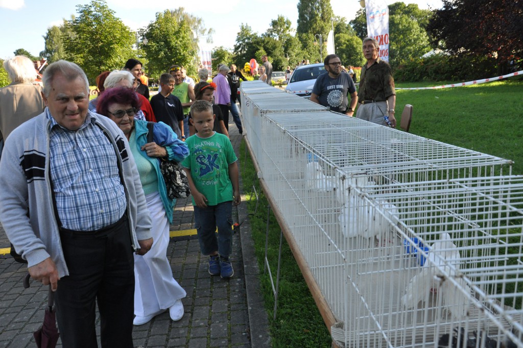 Tradycje kaszubskie i Wodecki na rodzinnym festynie