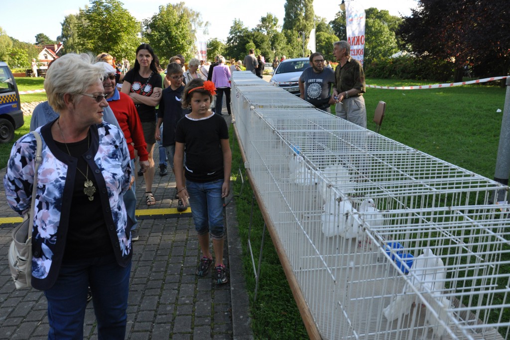 Tradycje kaszubskie i Wodecki na rodzinnym festynie