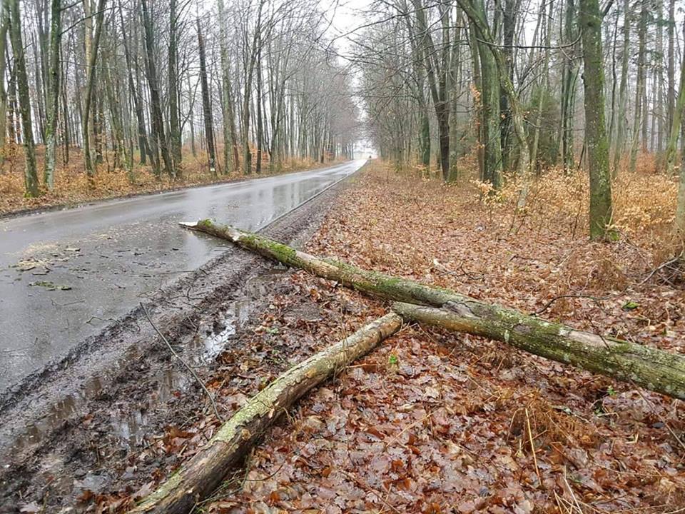 Wieje na Pomorzu. Strażacy interweniują