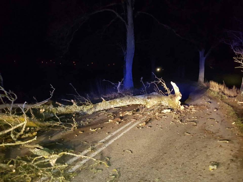 Wieje na Pomorzu. Strażacy interweniują