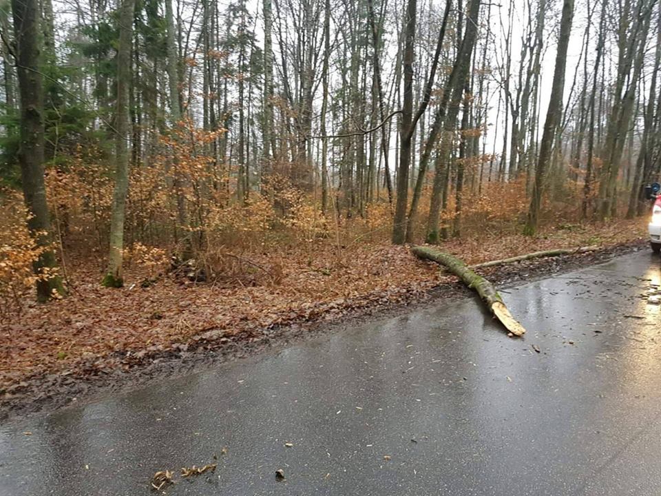 Wieje na Pomorzu. Strażacy interweniują