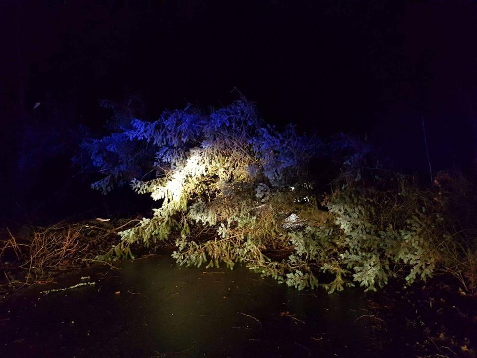 Wieje na Pomorzu. Strażacy interweniują