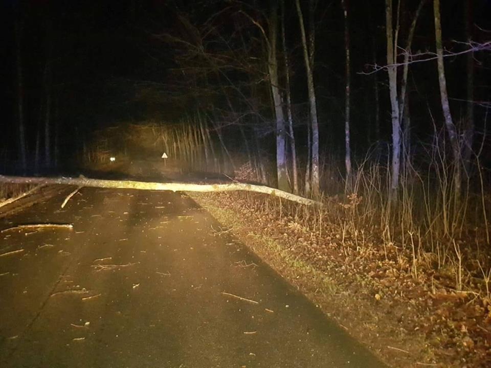 Wieje na Pomorzu. Strażacy interweniują