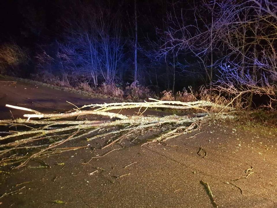 Wieje na Pomorzu. Strażacy interweniują