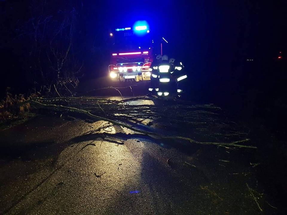 Wieje na Pomorzu. Strażacy interweniują