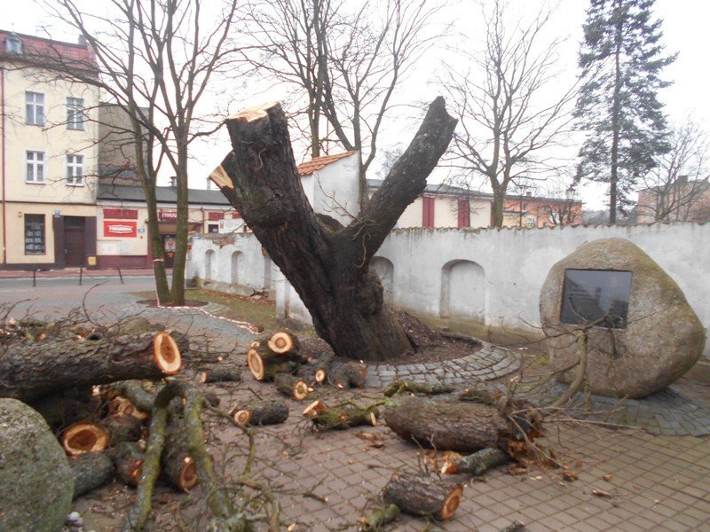O włos od tragedii