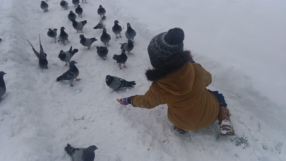 Sprawdź, kto został zwycięzcą konkursu!