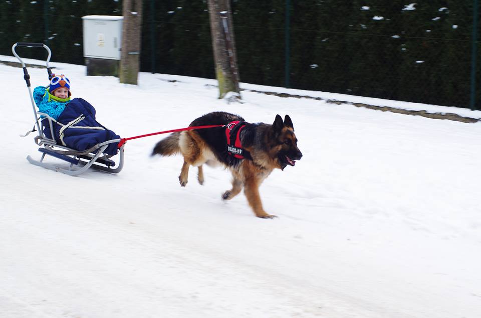 Sprawdź, kto został zwycięzcą konkursu!