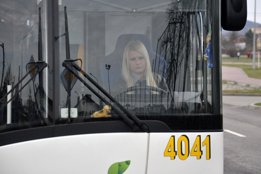 Teraz autobus, w przyszłości trolejbusy