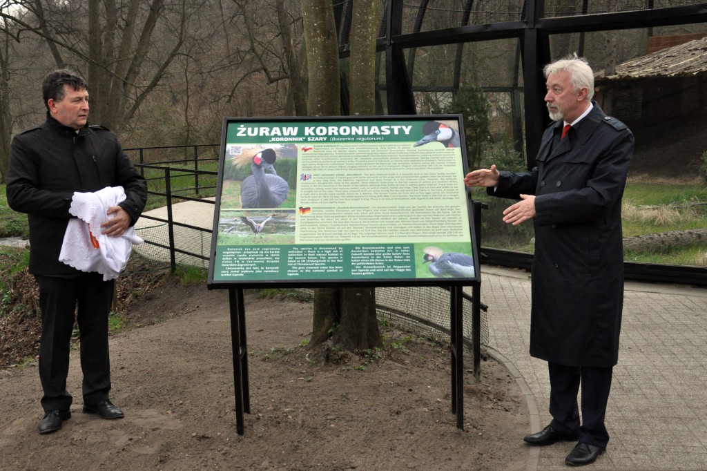 W parku zamieszkały żurawie