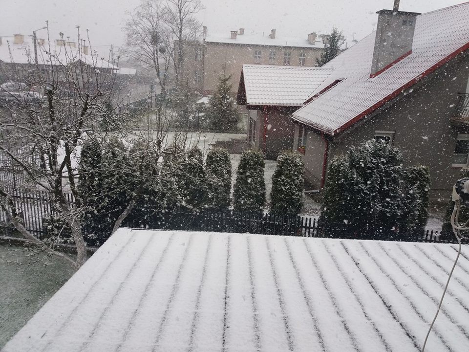 Zima w maju. Wasze zdjęcia