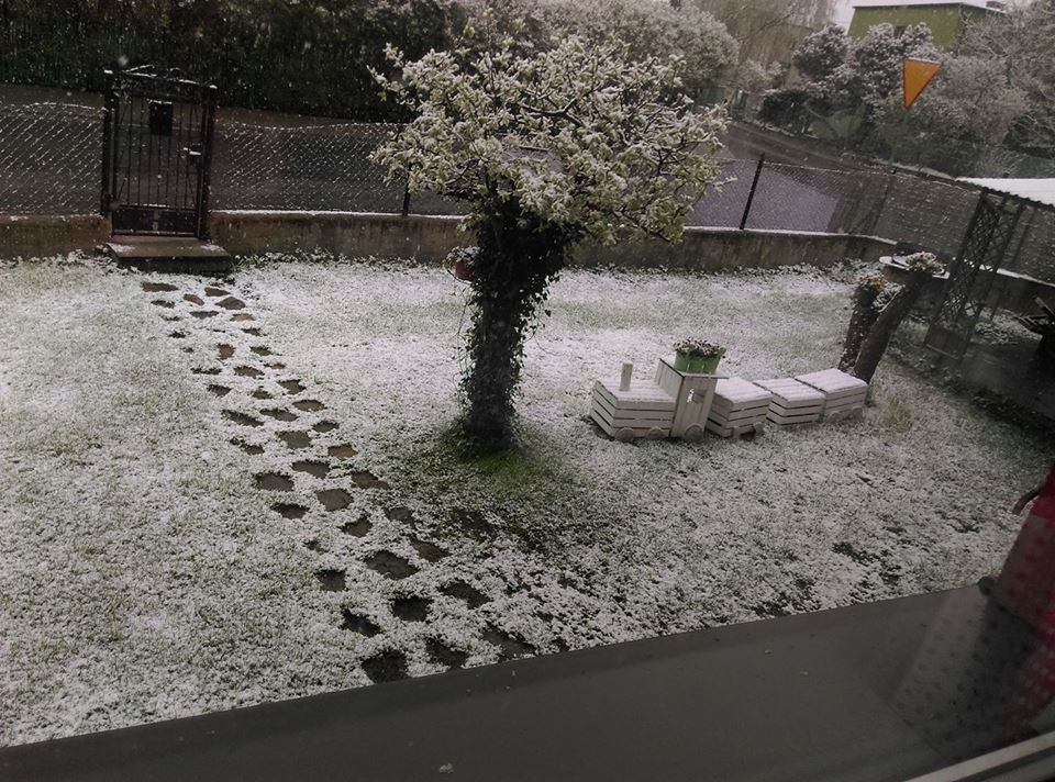 Zima w maju. Wasze zdjęcia