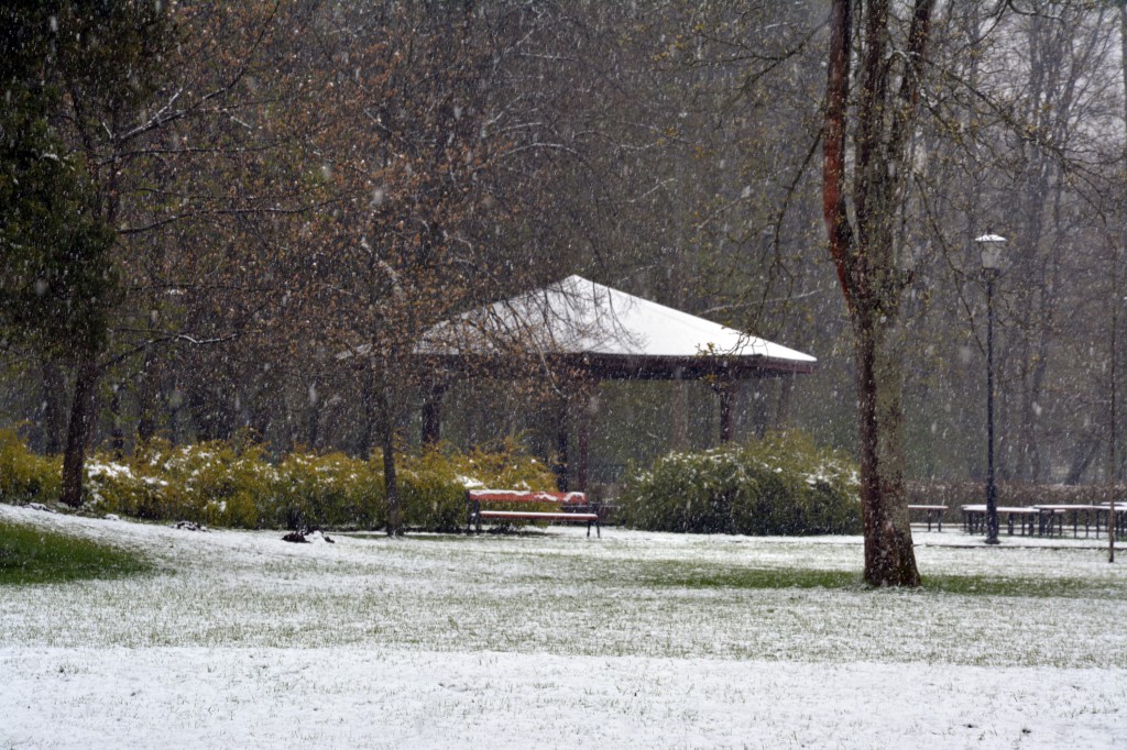 Zima w maju. Kiedy wróci wiosna?