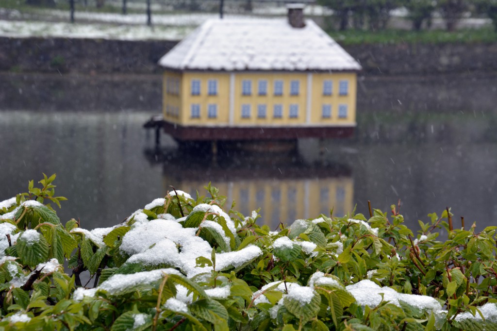 Zima w maju. Kiedy wróci wiosna?