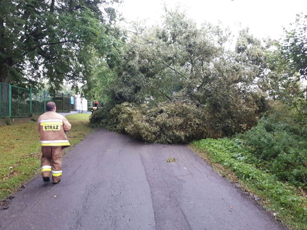 Skutki nawałnicy w powiecie