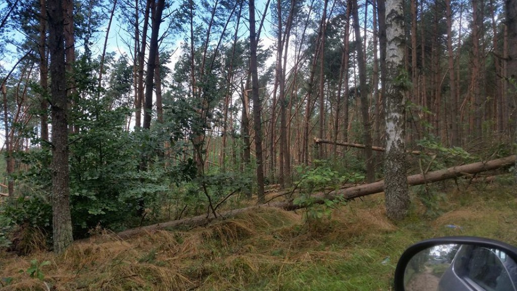 Skutki nawałnicy w powiecie