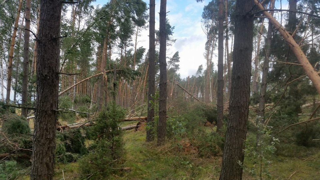 Skutki nawałnicy w powiecie