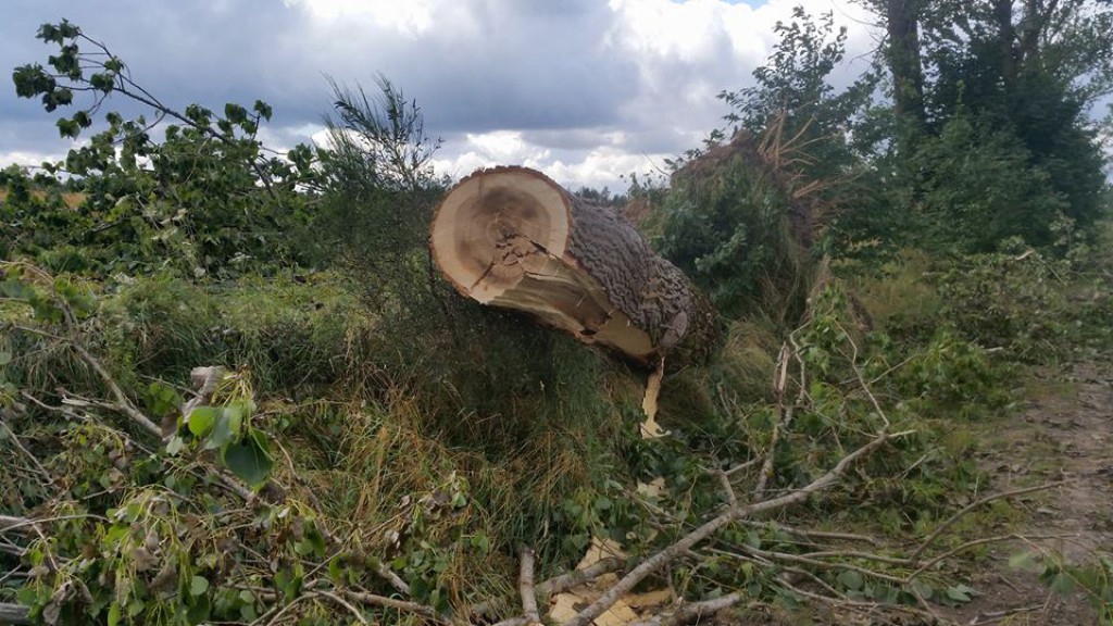 Skutki nawałnicy w powiecie