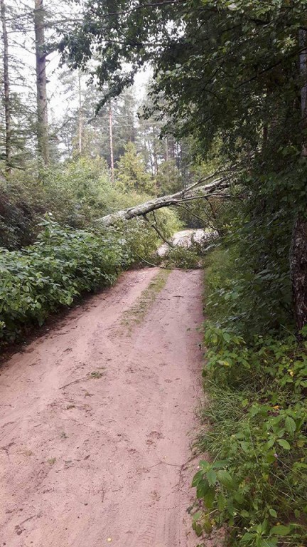 Skutki nawałnicy w powiecie