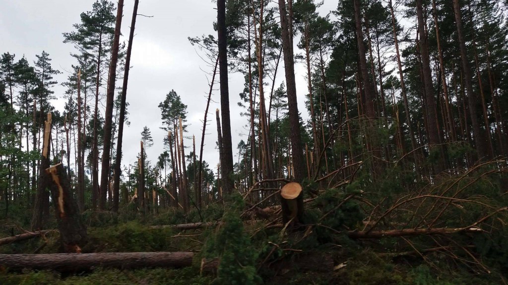Pomagali w usuwaniu skutków burzy