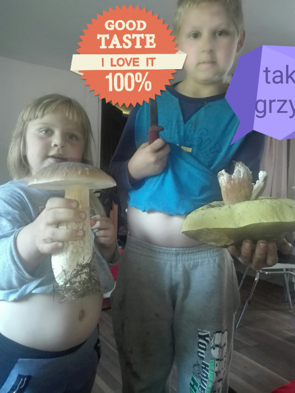 Takie grzyby znaleźli nasi Czytelnicy