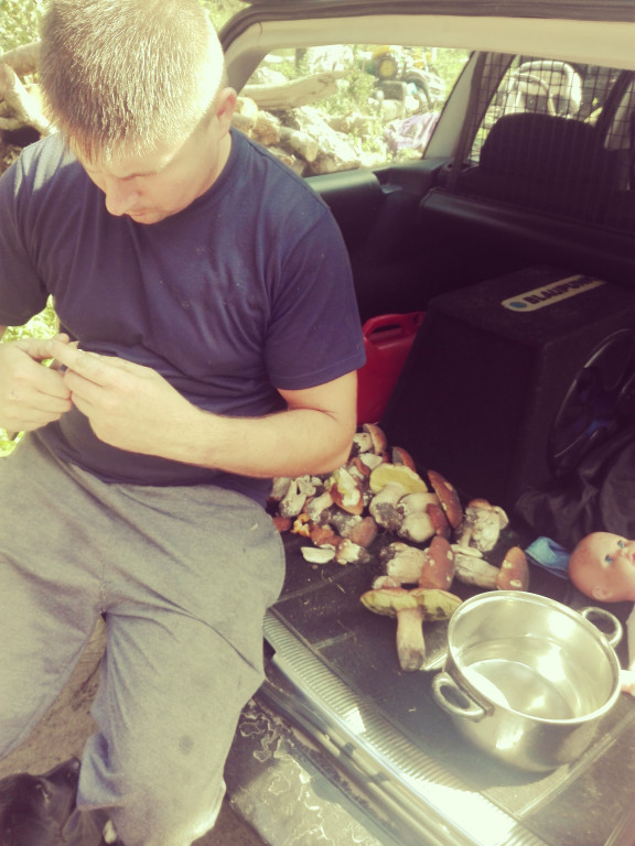 Takie grzyby znaleźli nasi Czytelnicy