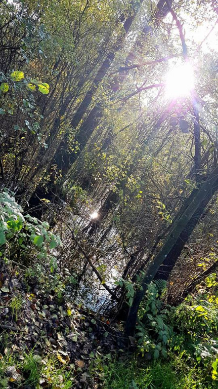 Magiczna jesień na zdjęciach Czytelników