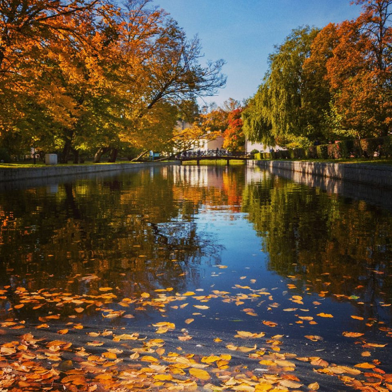 Magiczna jesień na zdjęciach Czytelników