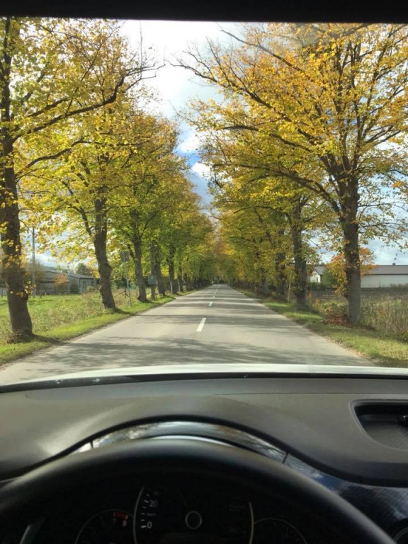 Magiczna jesień na zdjęciach Czytelników