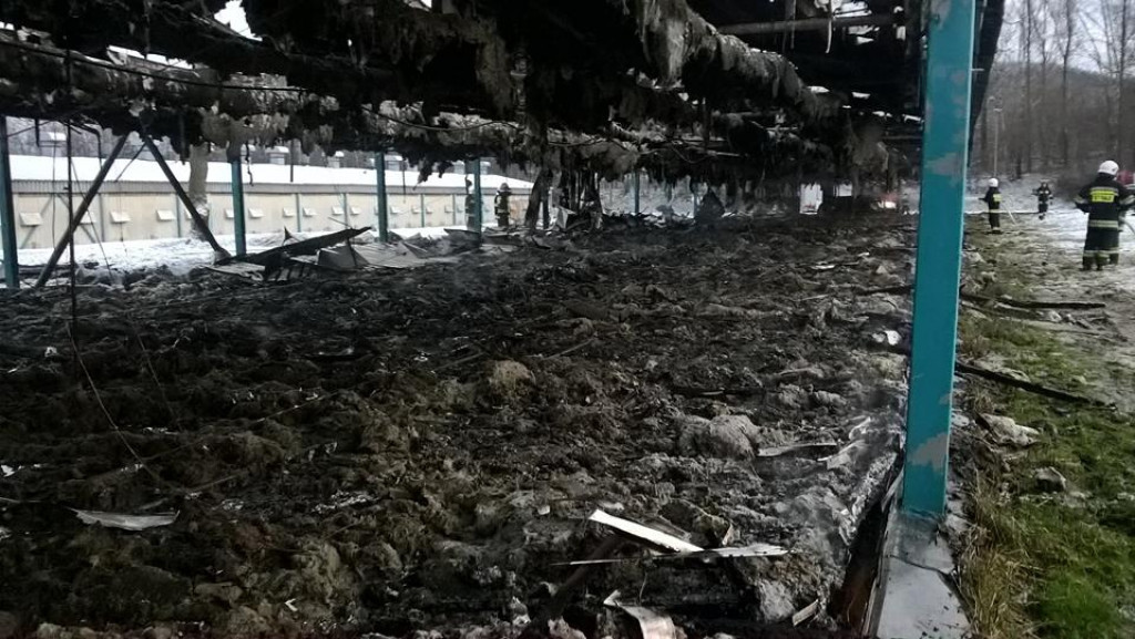 Pożar kurnika. Dziesięć zastępów w akcji