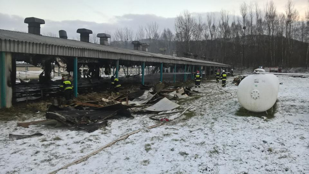 Pożar kurnika. Dziesięć zastępów w akcji