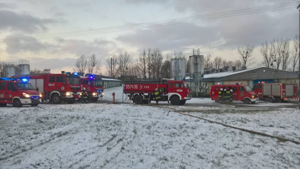 Pożar kurnika. Dziesięć zastępów w akcji