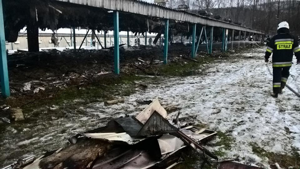 Pożar kurnika. Dziesięć zastępów w akcji