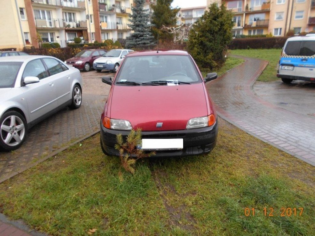 Mistrzowie parkowania w akcji