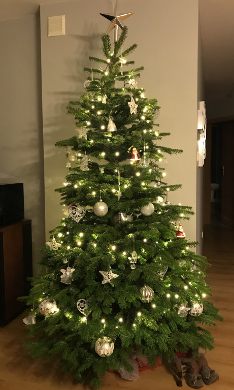 Wasze świąteczne dekoracje są piękne!