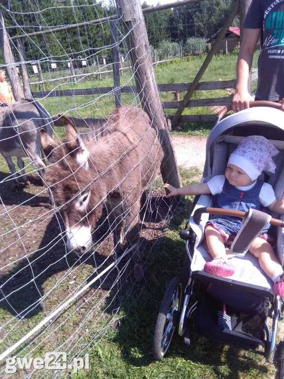 W czasie wakacji dzieci się nie nudzą!