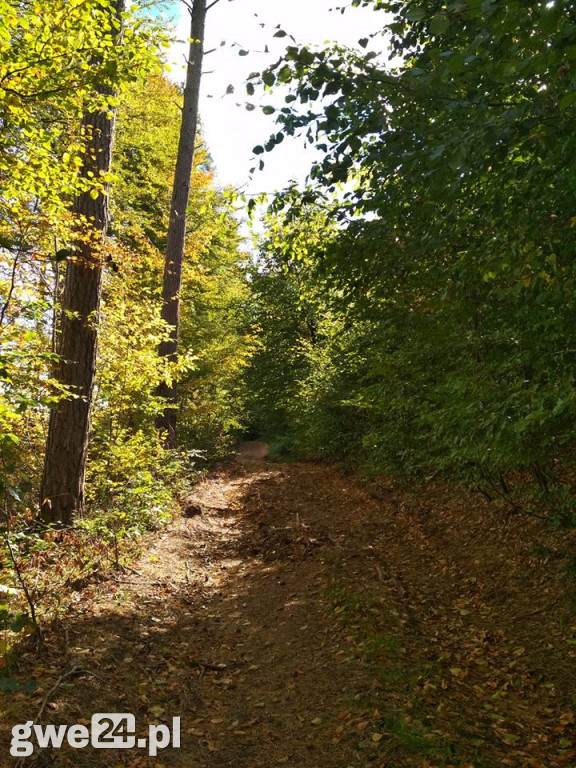 Jesień na Waszych fotografiach