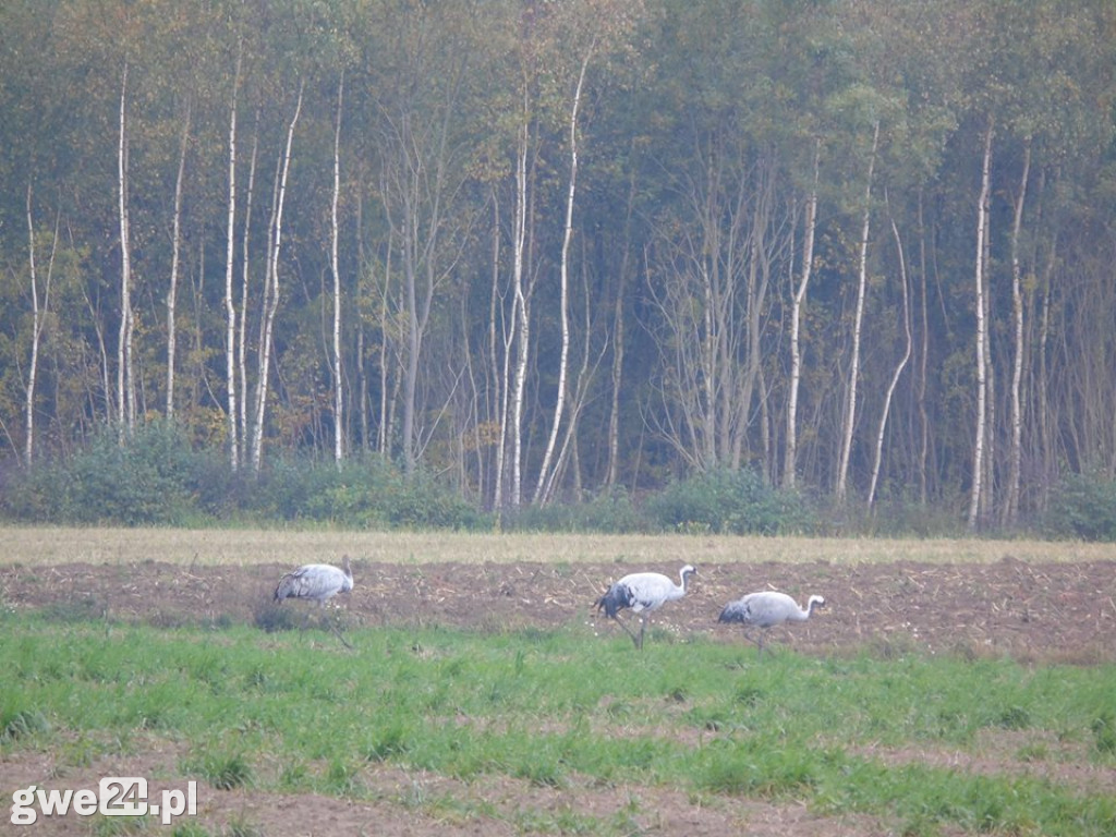 Jesień na Waszych fotografiach