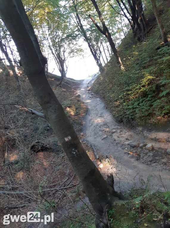 Jesień na Waszych fotografiach