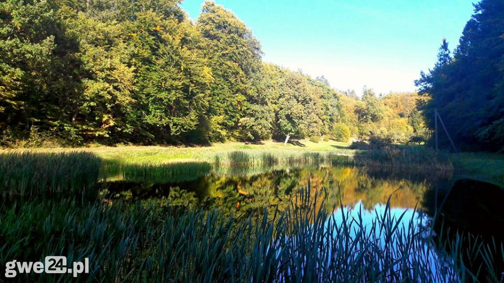 Jesień na Waszych fotografiach