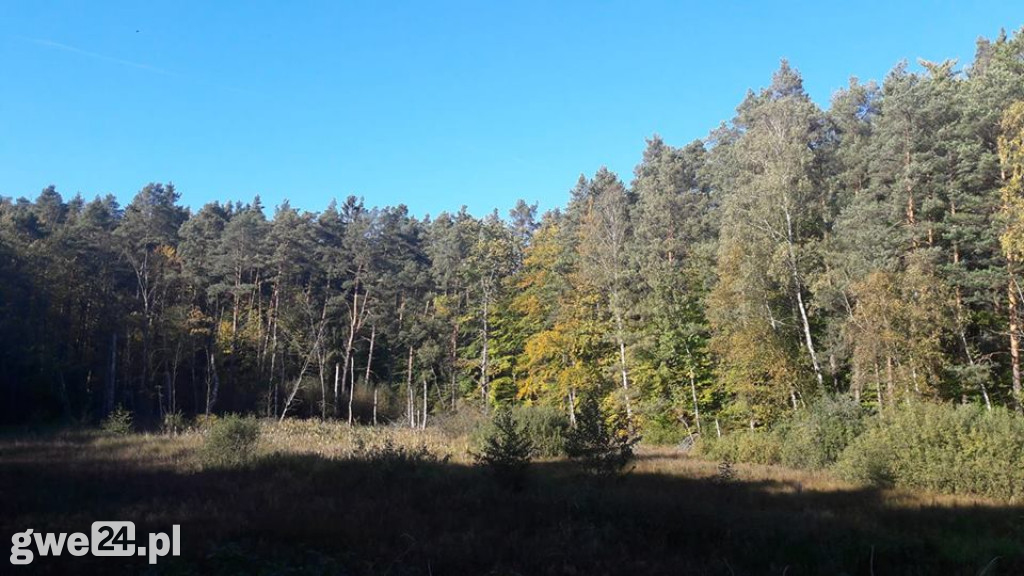 Jesień na Waszych fotografiach