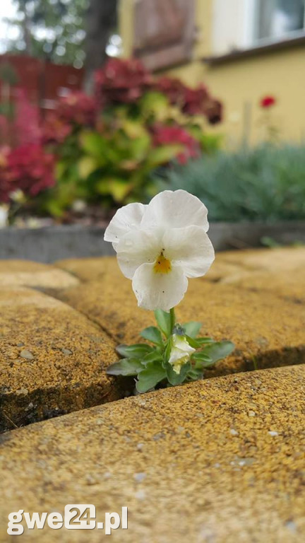 Jesień na Waszych fotografiach