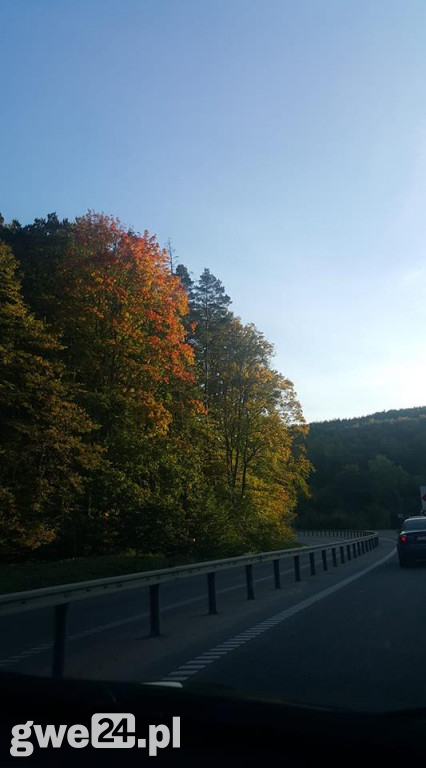 Jesień na Waszych fotografiach