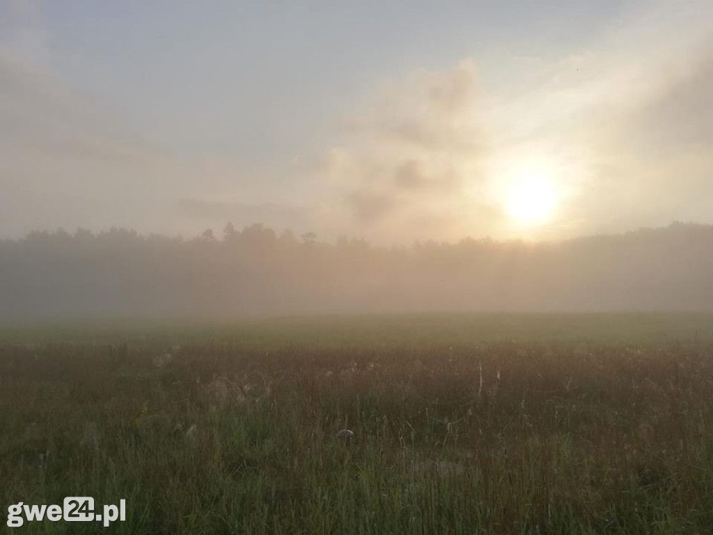 Jesień na Waszych fotografiach