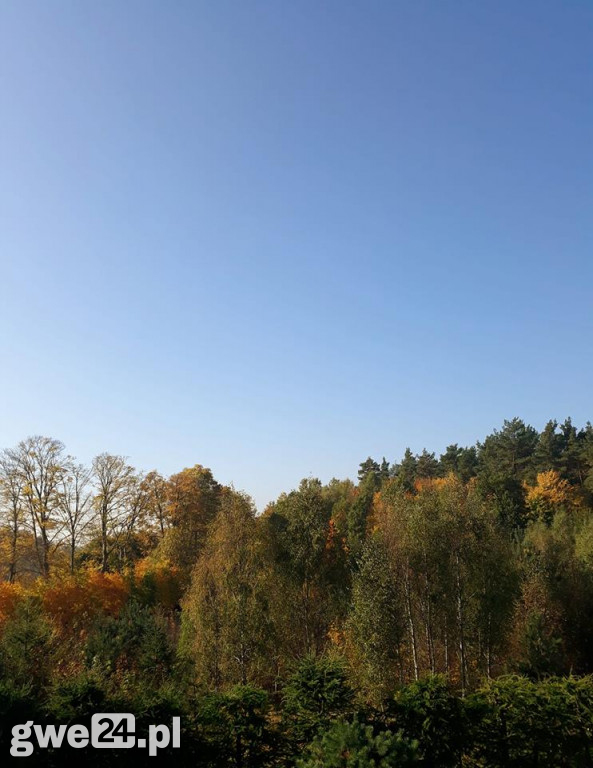 Jesień na Waszych fotografiach
