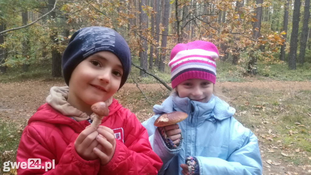 Sprawdź, komu przyznaliśmy wejściówki!