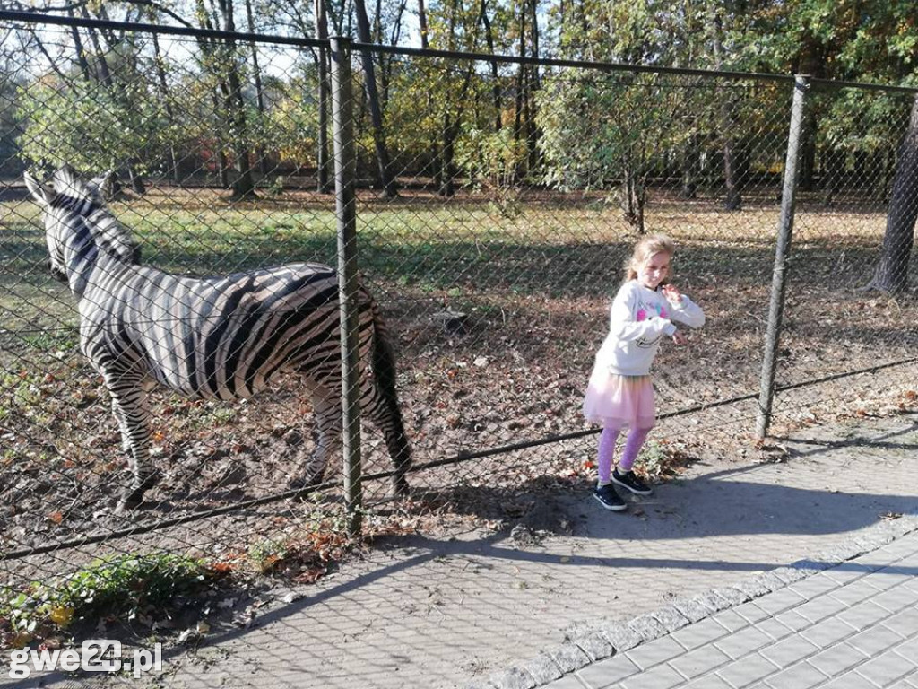 Sprawdź, komu przyznaliśmy wejściówki!