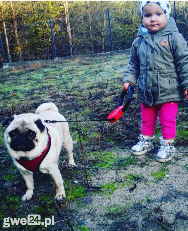 To Wasze zdjęcia, które nagrodziliśmy wejściówkami