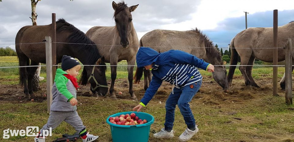 To Wasze zdjęcia, które nagrodziliśmy wejściówkami