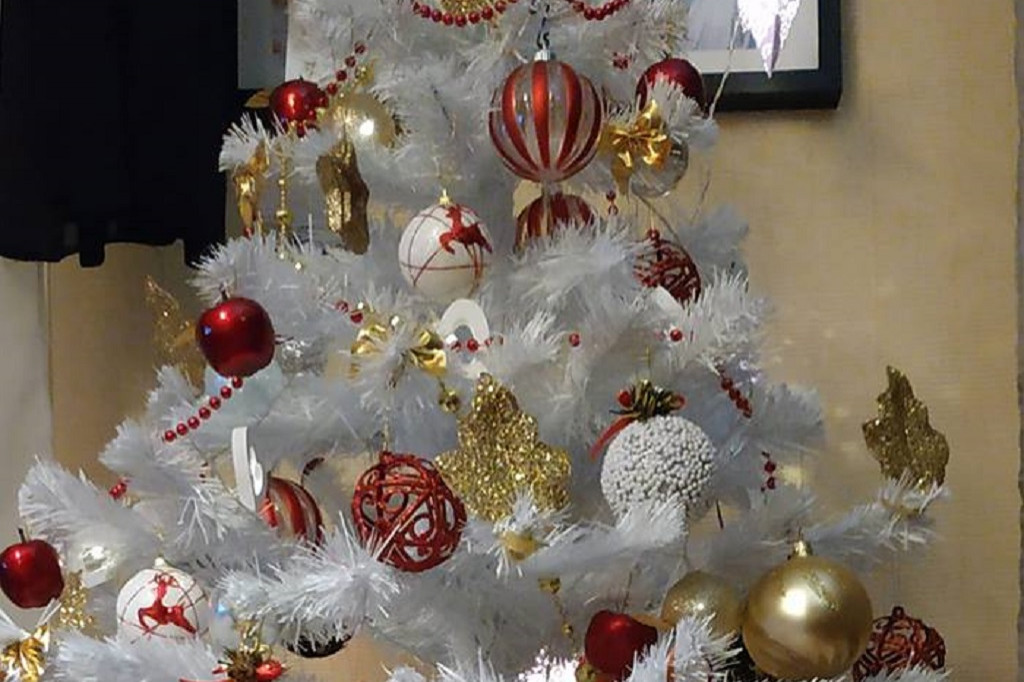 Wasze choinki robią wrażenie [GALERIA ZDJĘC]